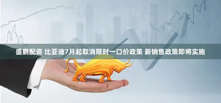 盛鹏配资 比亚迪7月起取消限时一口价政策 新销售政策即将实施