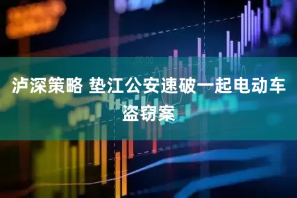 泸深策略 垫江公安速破一起电动车盗窃案