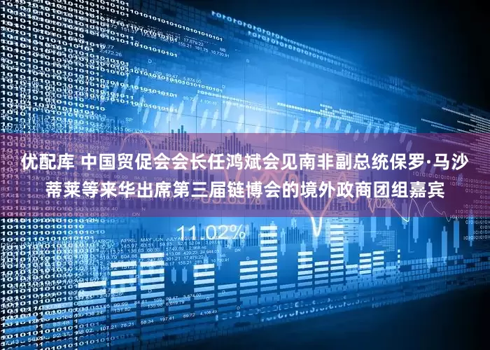 优配库 中国贸促会会长任鸿斌会见南非副总统保罗·马沙蒂莱等来华出席第三届链博会的境外政商团组嘉宾