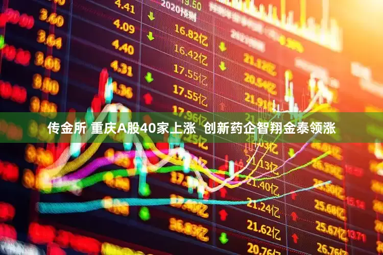 传金所 重庆A股40家上涨  创新药企智翔金泰领涨