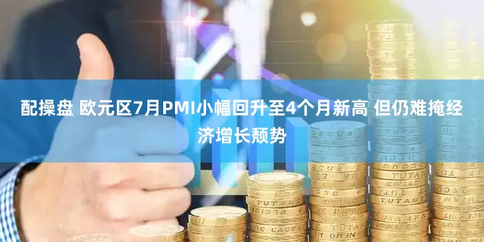 配操盘 欧元区7月PMI小幅回升至4个月新高 但仍难掩经济增长颓势